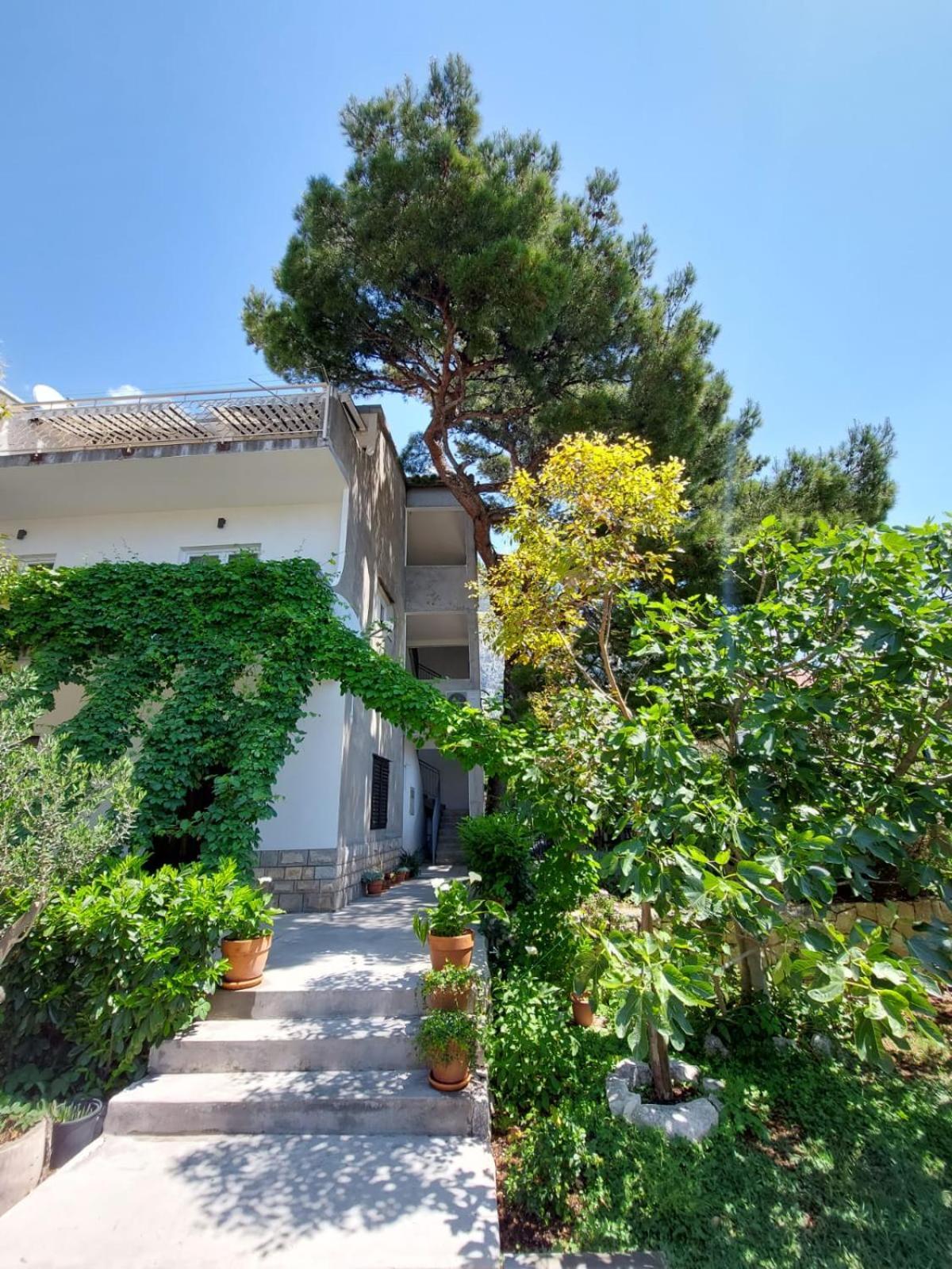 17 Pines Daire Makarska Dış mekan fotoğraf