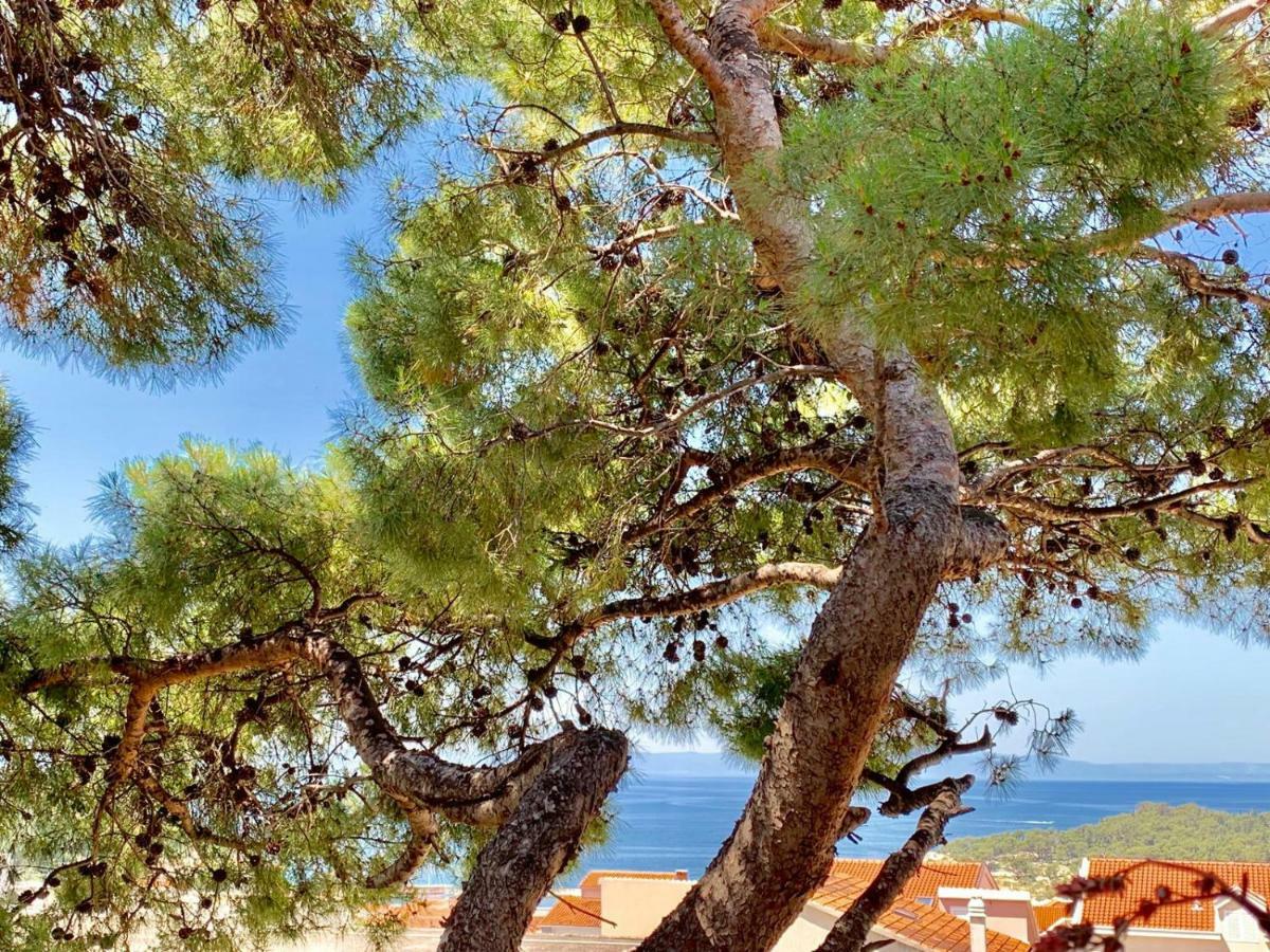 17 Pines Daire Makarska Dış mekan fotoğraf