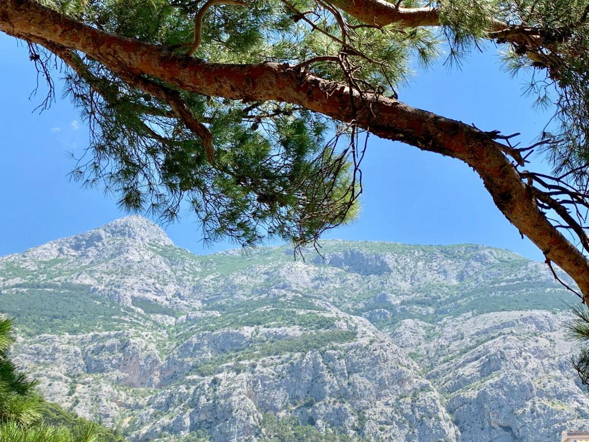 17 Pines Daire Makarska Dış mekan fotoğraf